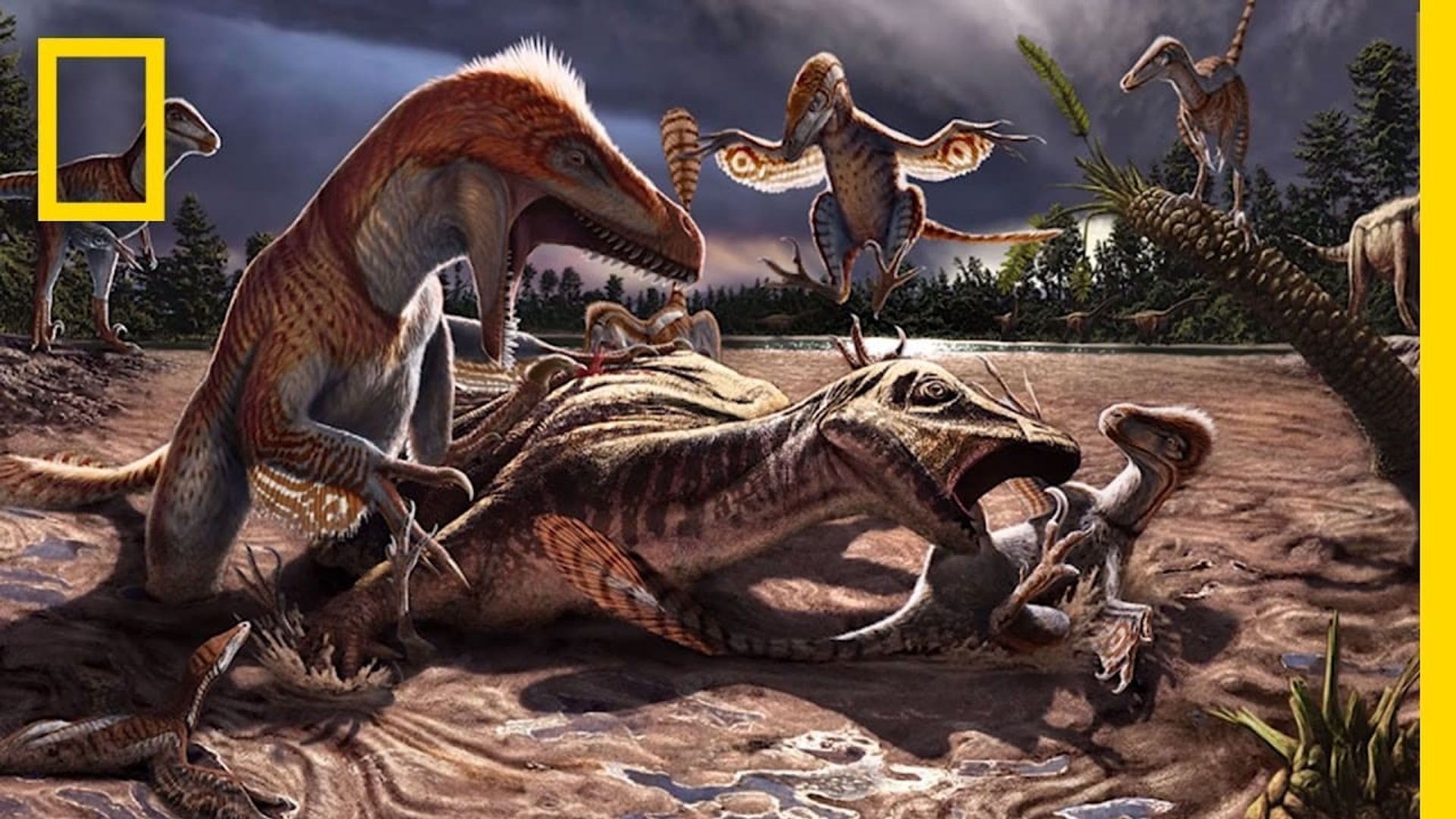 National Geographic: Dino Death Trap background