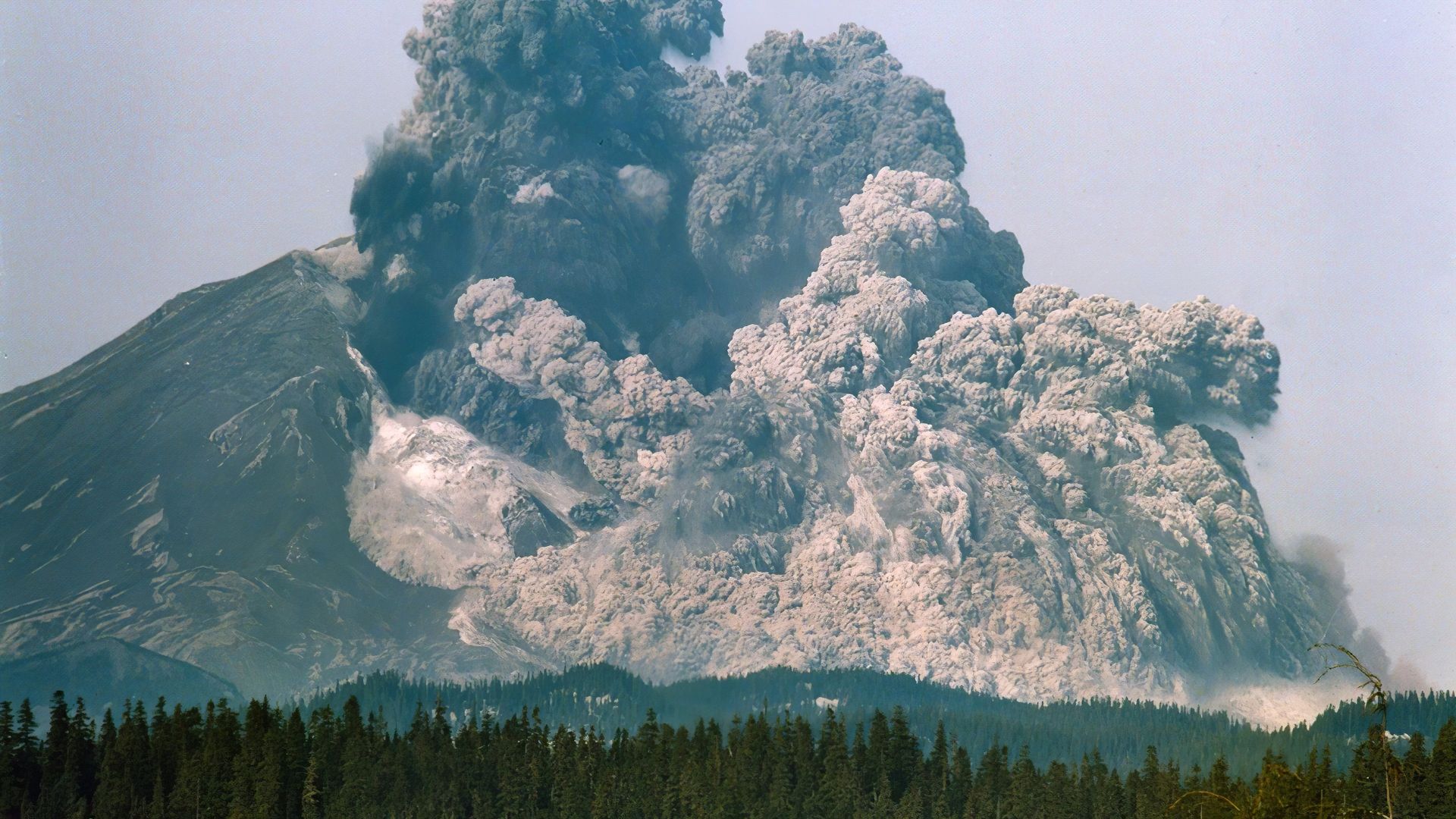 Surviving the Mount St. Helens Disaster background