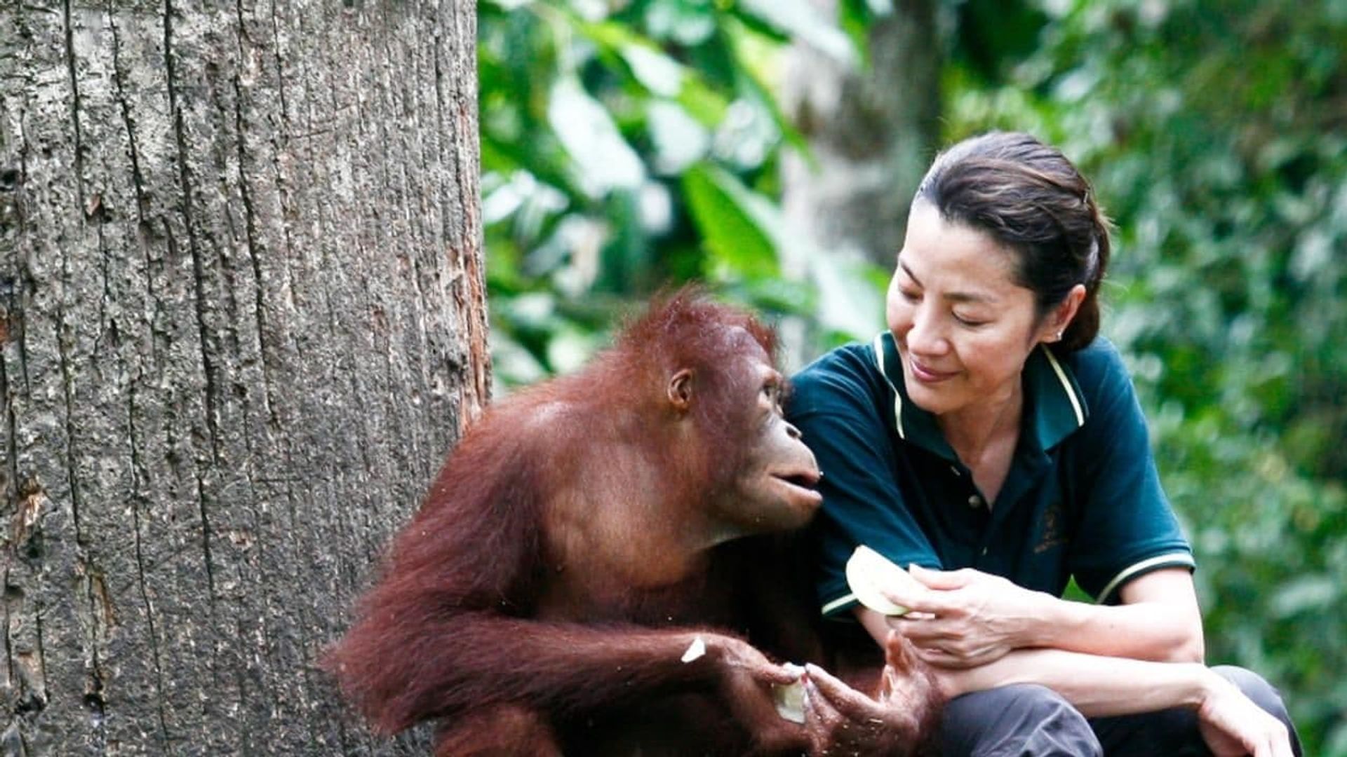 Among the Great Apes with Michelle Yeoh background