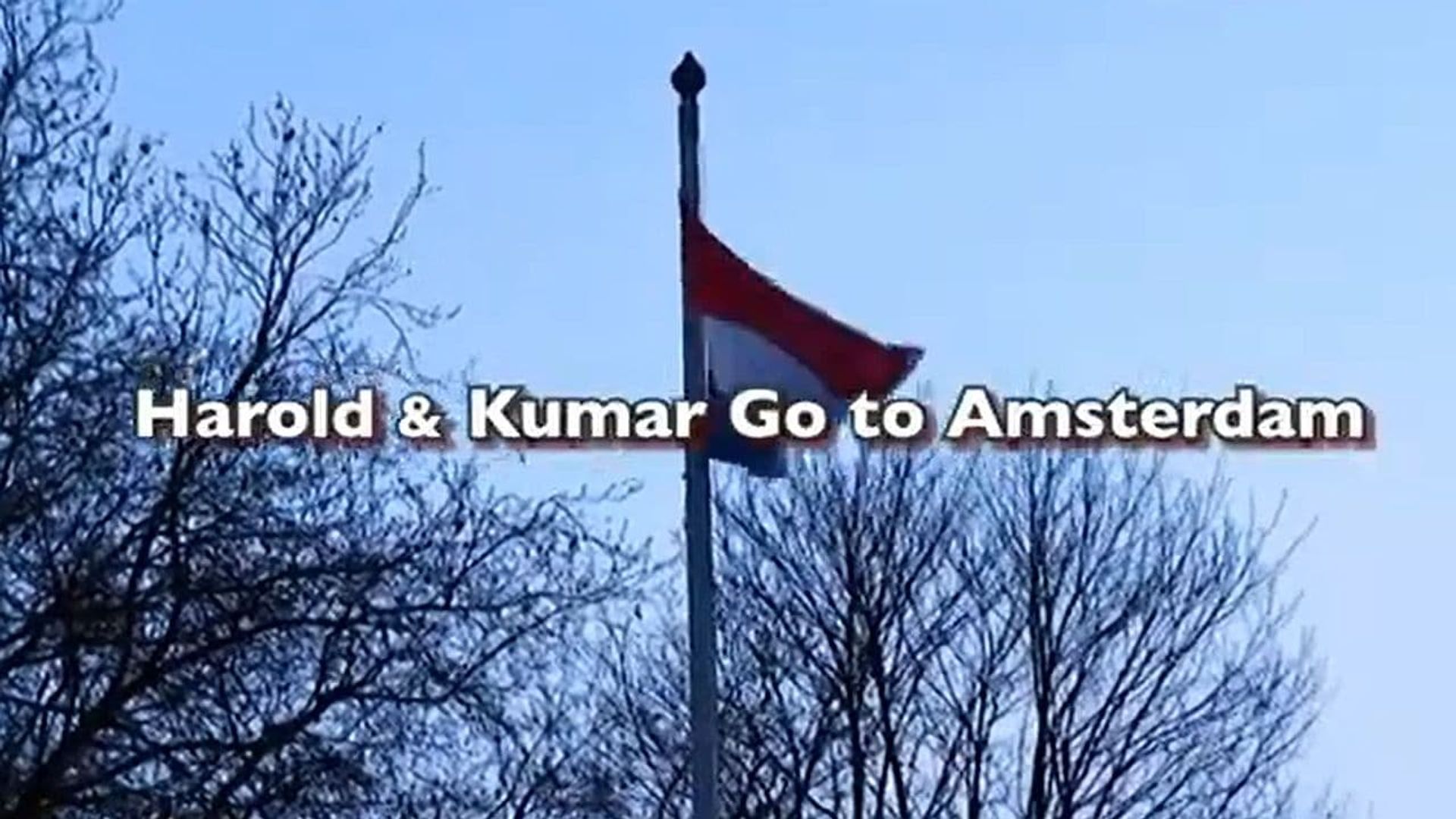 Harold & Kumar Go to Amsterdam background