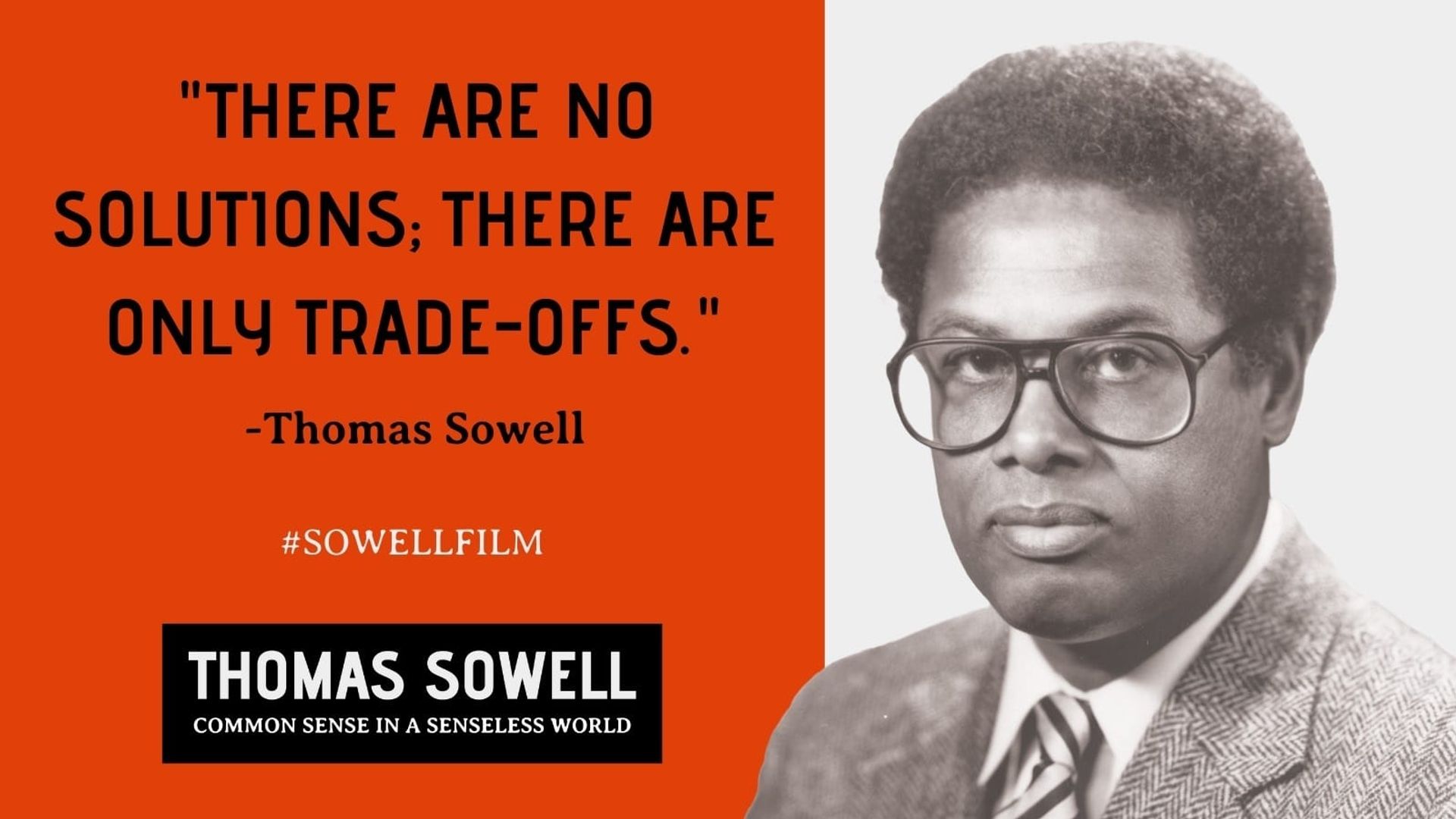 Thomas Sowell: Common Sense in a Senseless World, A Personal Exploration by Jason Riley background