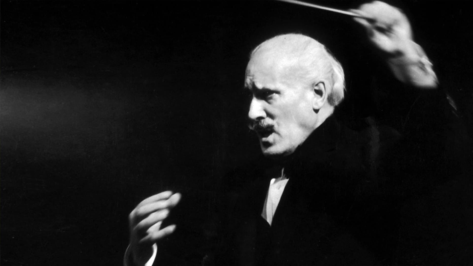 Toscanini in His Own Words background