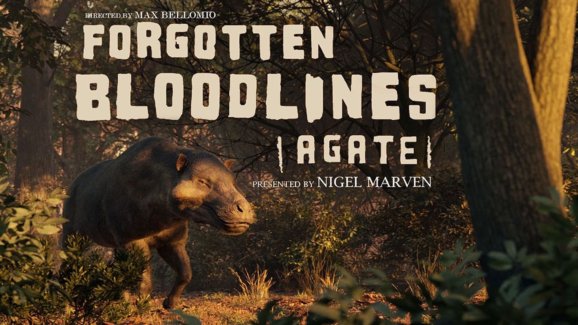 Forgotten Bloodlines: Agate background