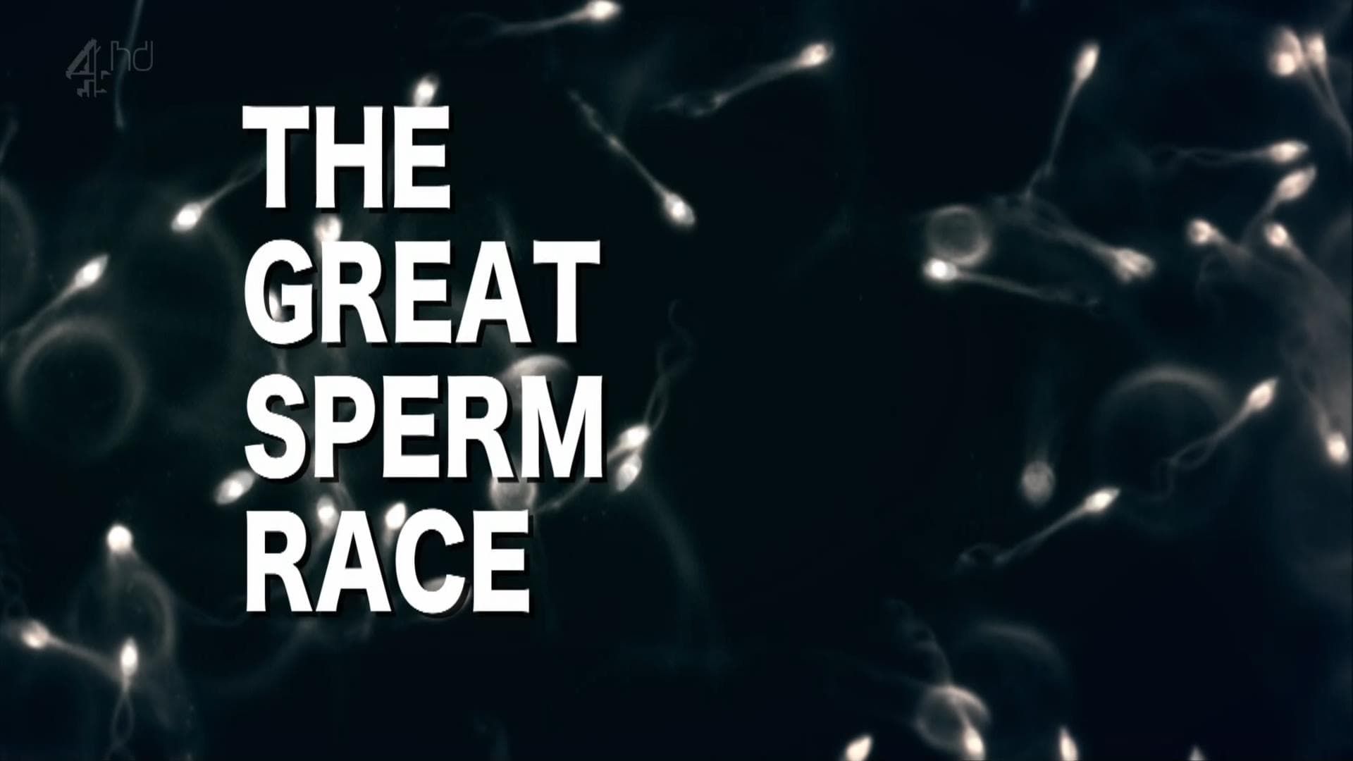 The Great Sperm Race background