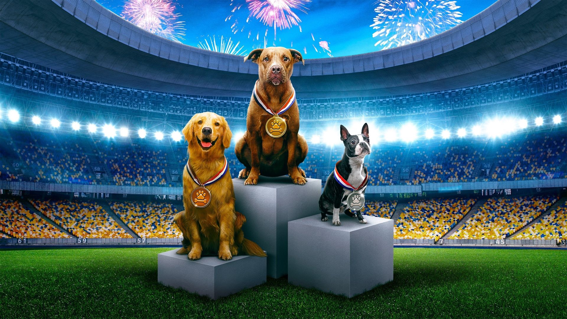 Puppy Bowl Presents: The Summer Games background