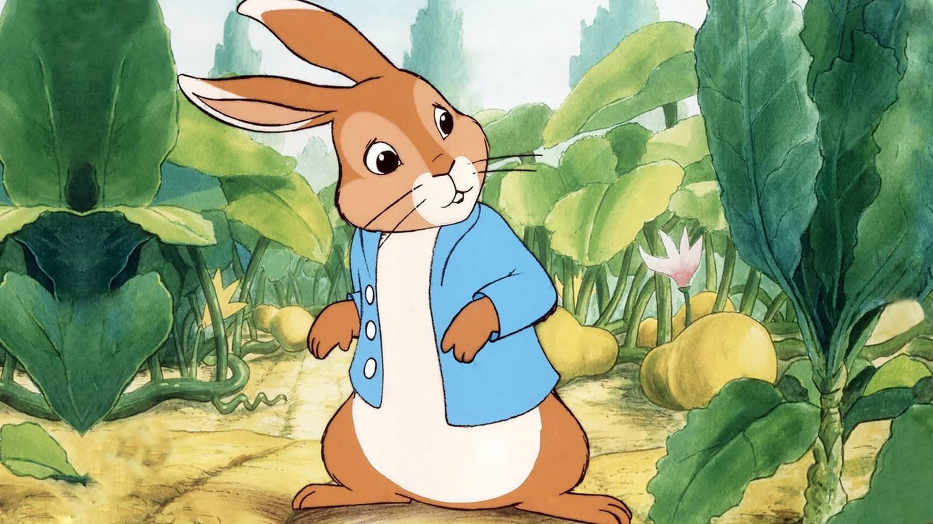 The Tale of Peter Rabbit background