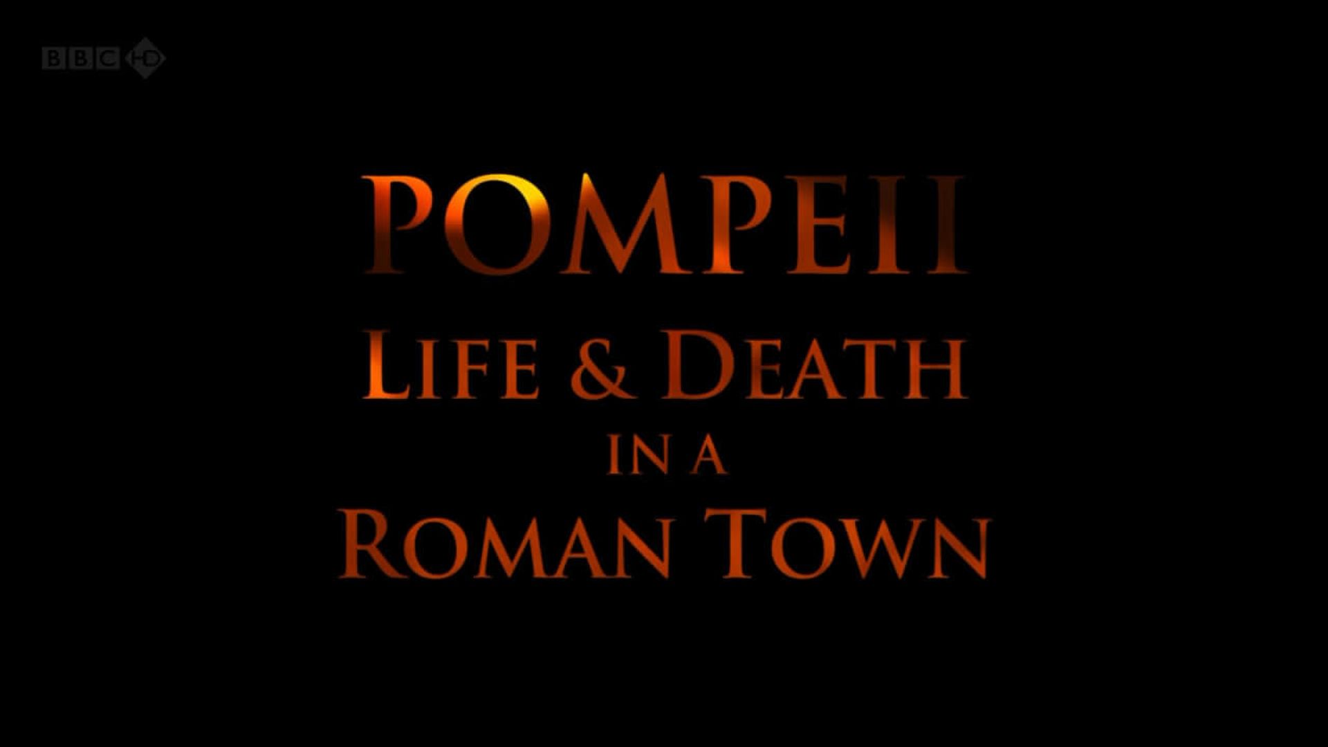 Pompeii: Life & Death in a Roman Town background