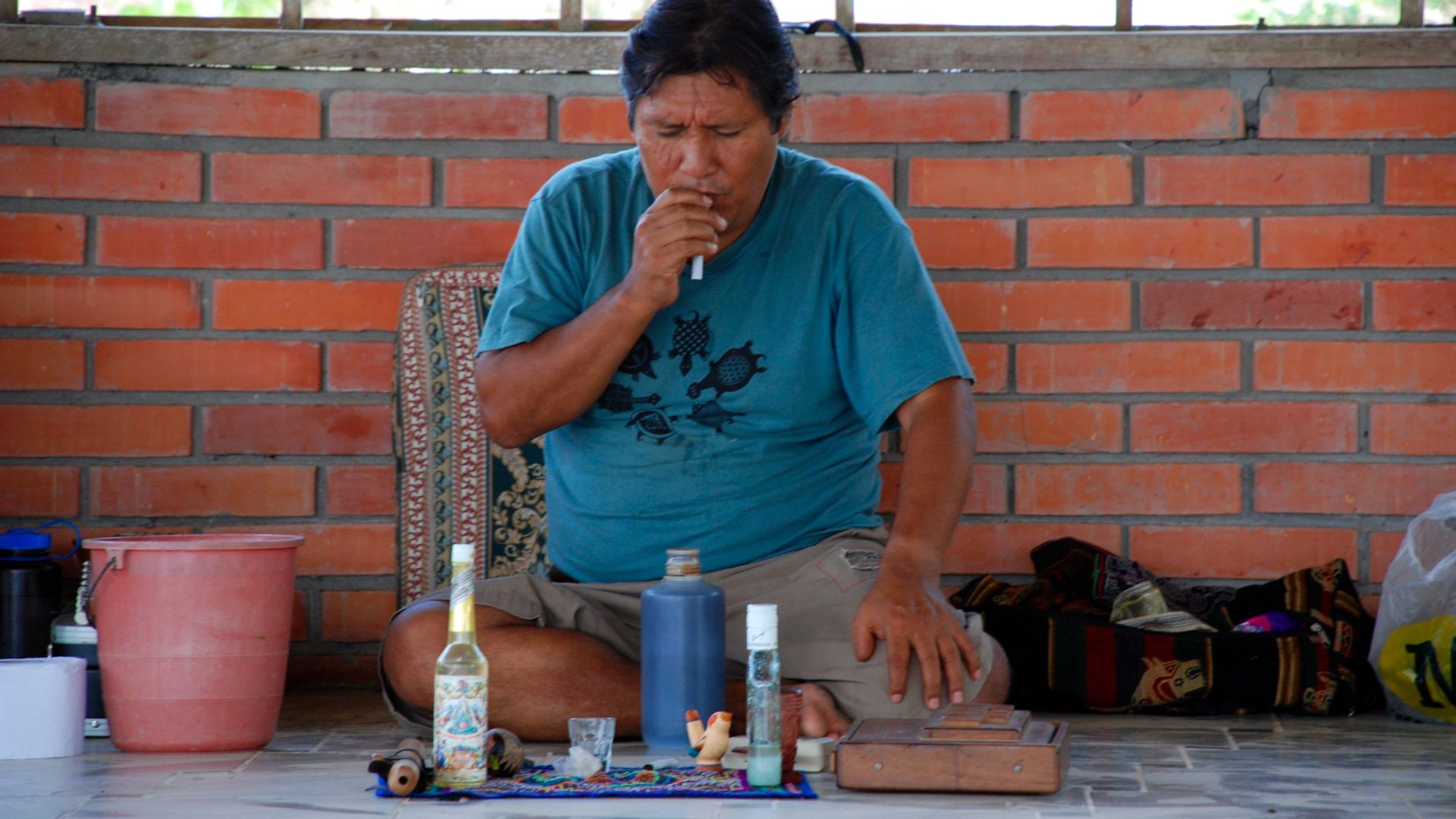 The Shaman & Ayahuasca: Journeys to Sacred Realms background