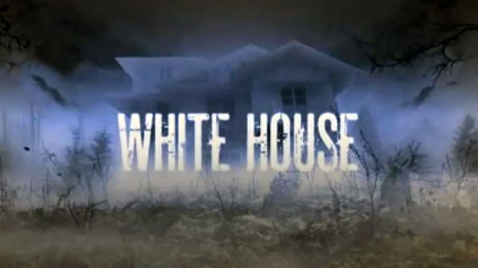 White House background