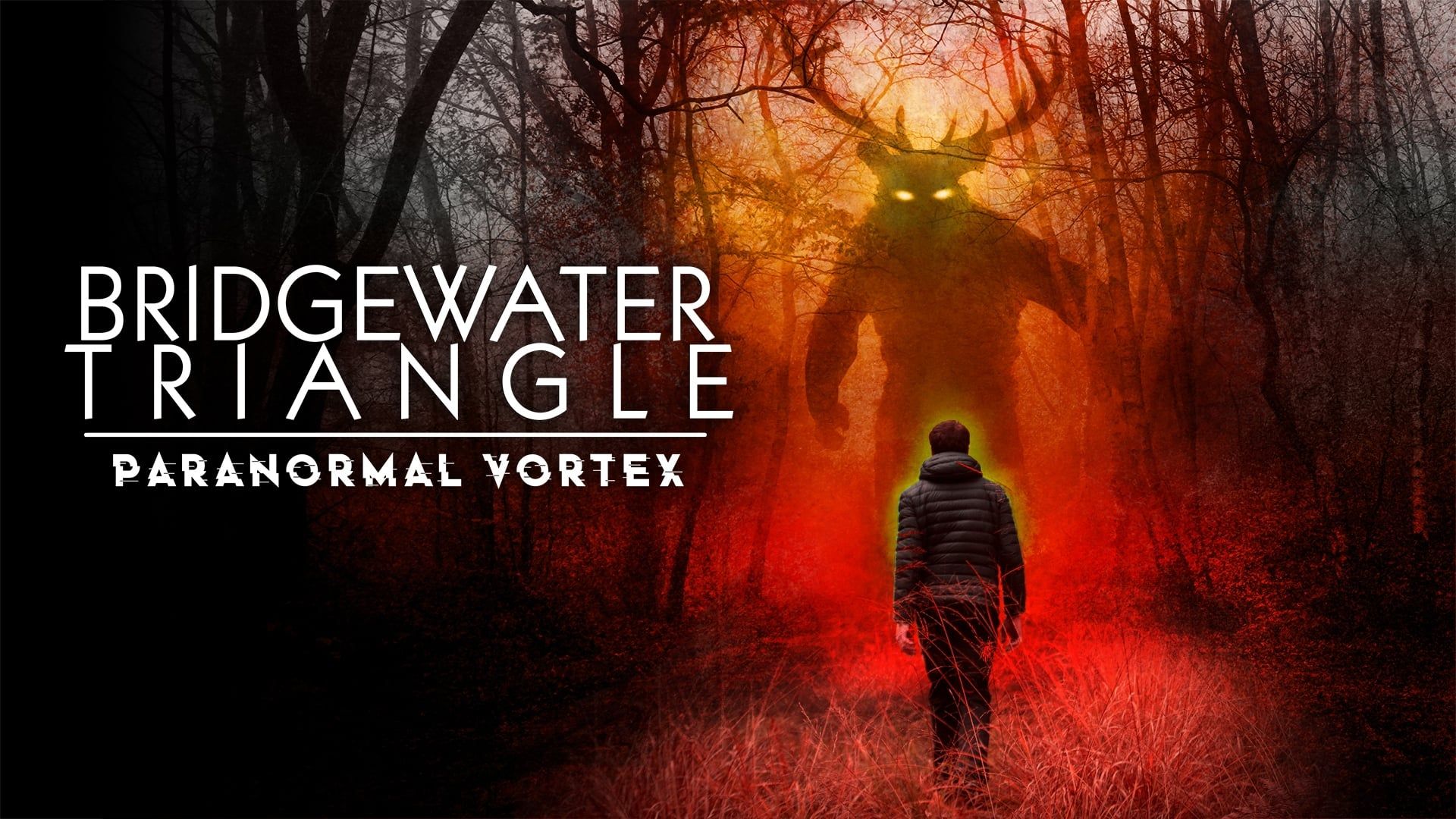 Bridgewater Triangle: Paranormal Vortex background