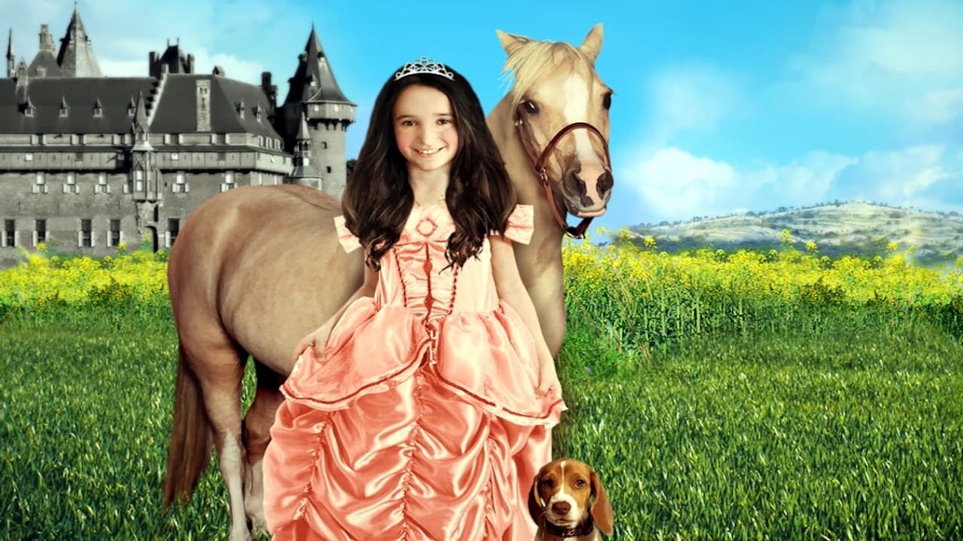 Princess and the Pony background