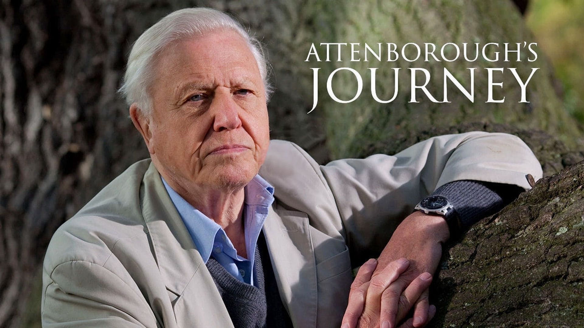 Attenborough's Journey background