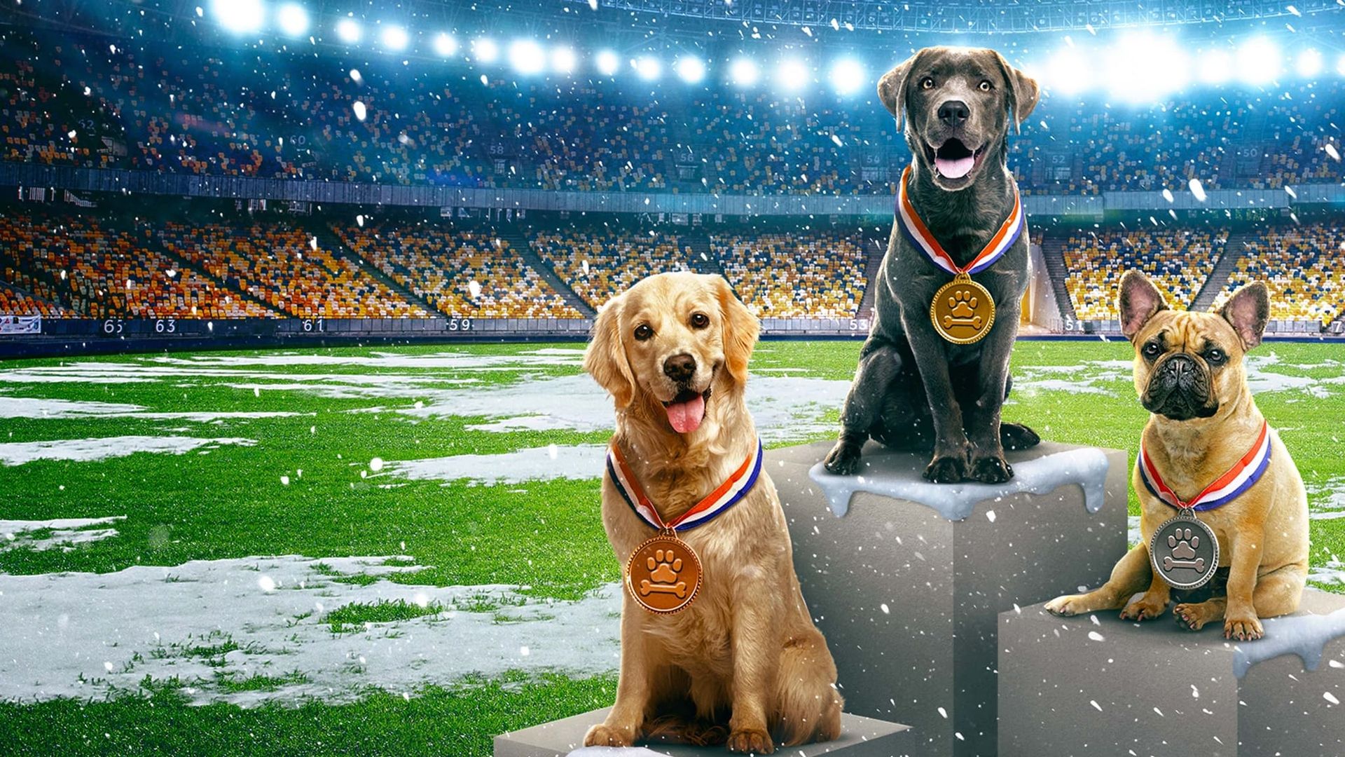 Puppy Bowl Presents: The Winter Games background