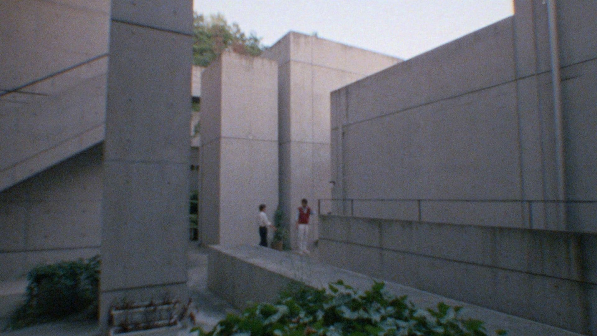 Tadao Ando background