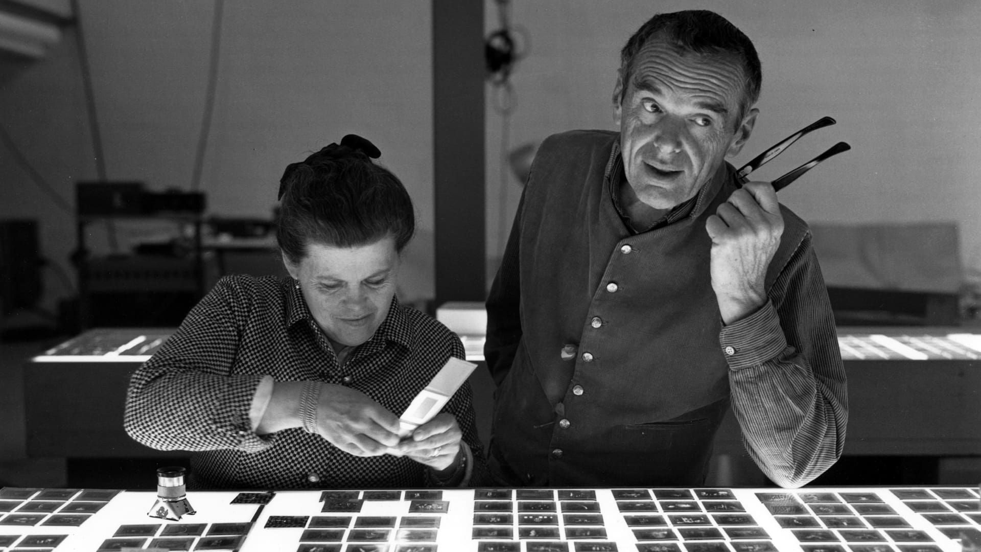 Eames: The Architect & The Painter background