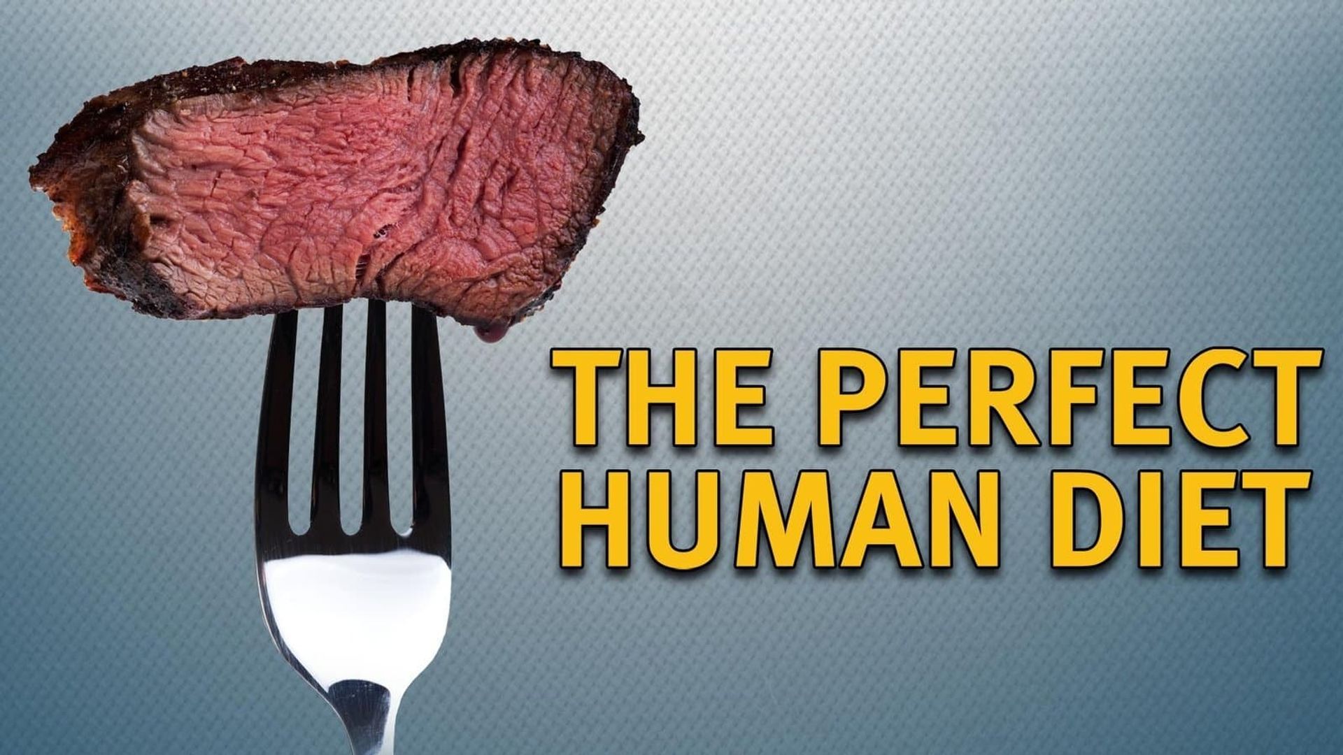 The Perfect Human Diet background