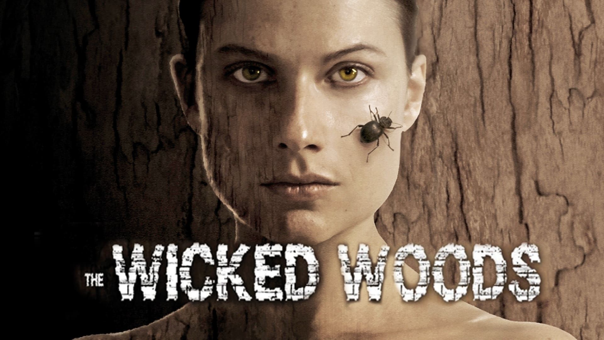 The Wicked Woods background