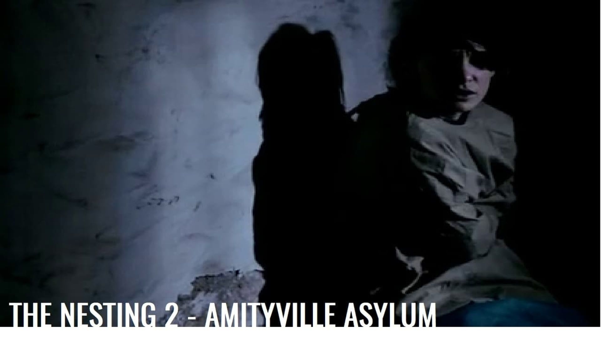 The Amityville Asylum background