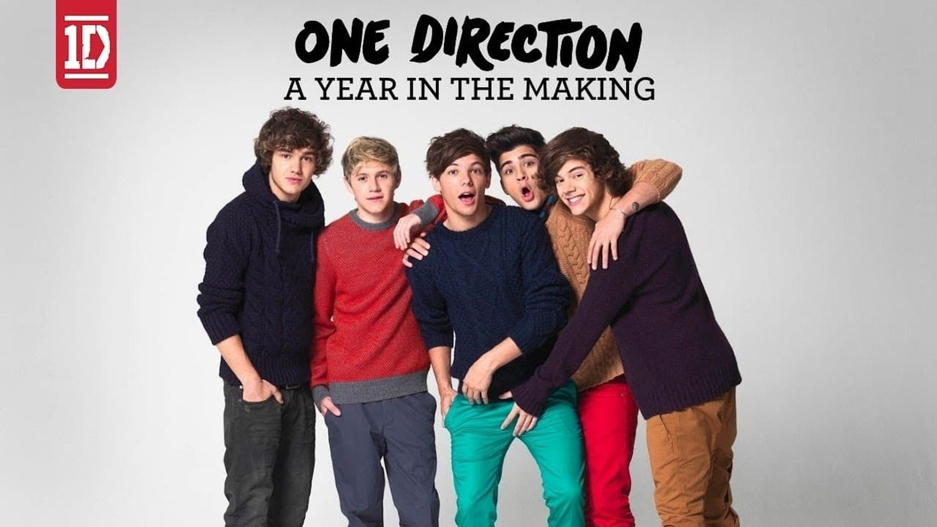 One Direction: A Year in the Making background