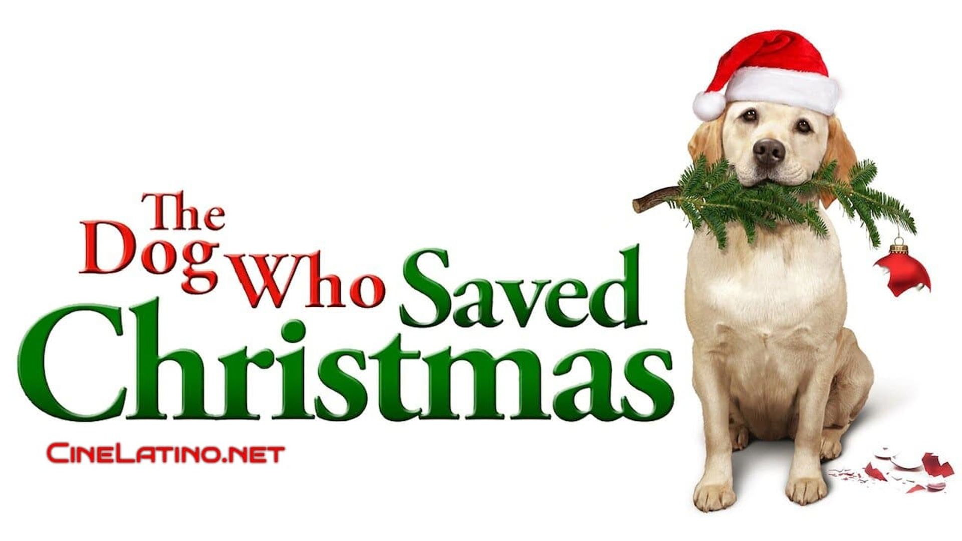 The Dog Who Saved the Holidays background