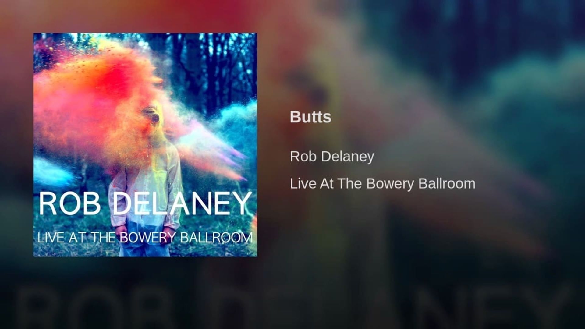 Rob Delaney Live at the Bowery Ballroom background
