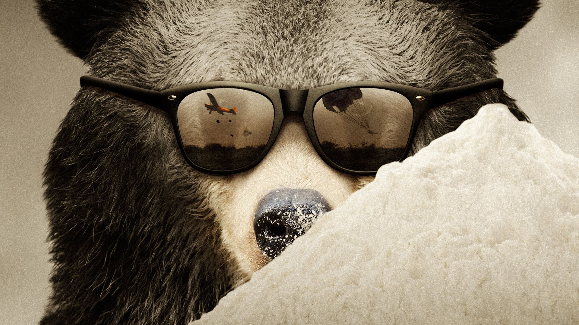 Cocaine Bear: The True Story background