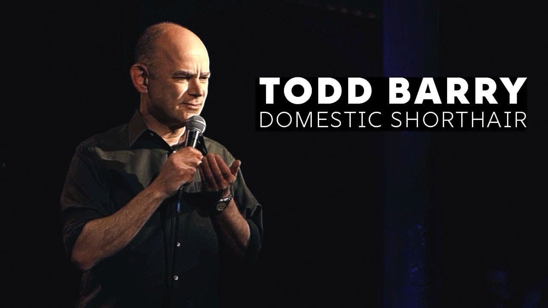 Todd Barry: Domestic Shorthair background