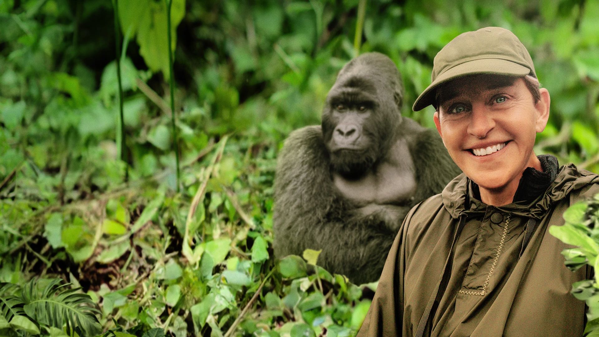 Saving the Gorillas: Ellen's Next Adventure background
