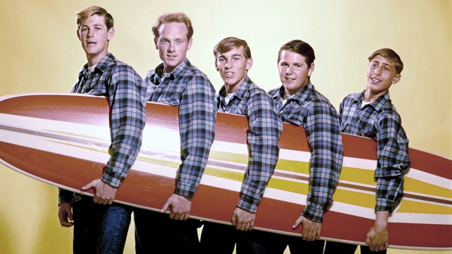 The Beach Boys: Live at Knebworth background