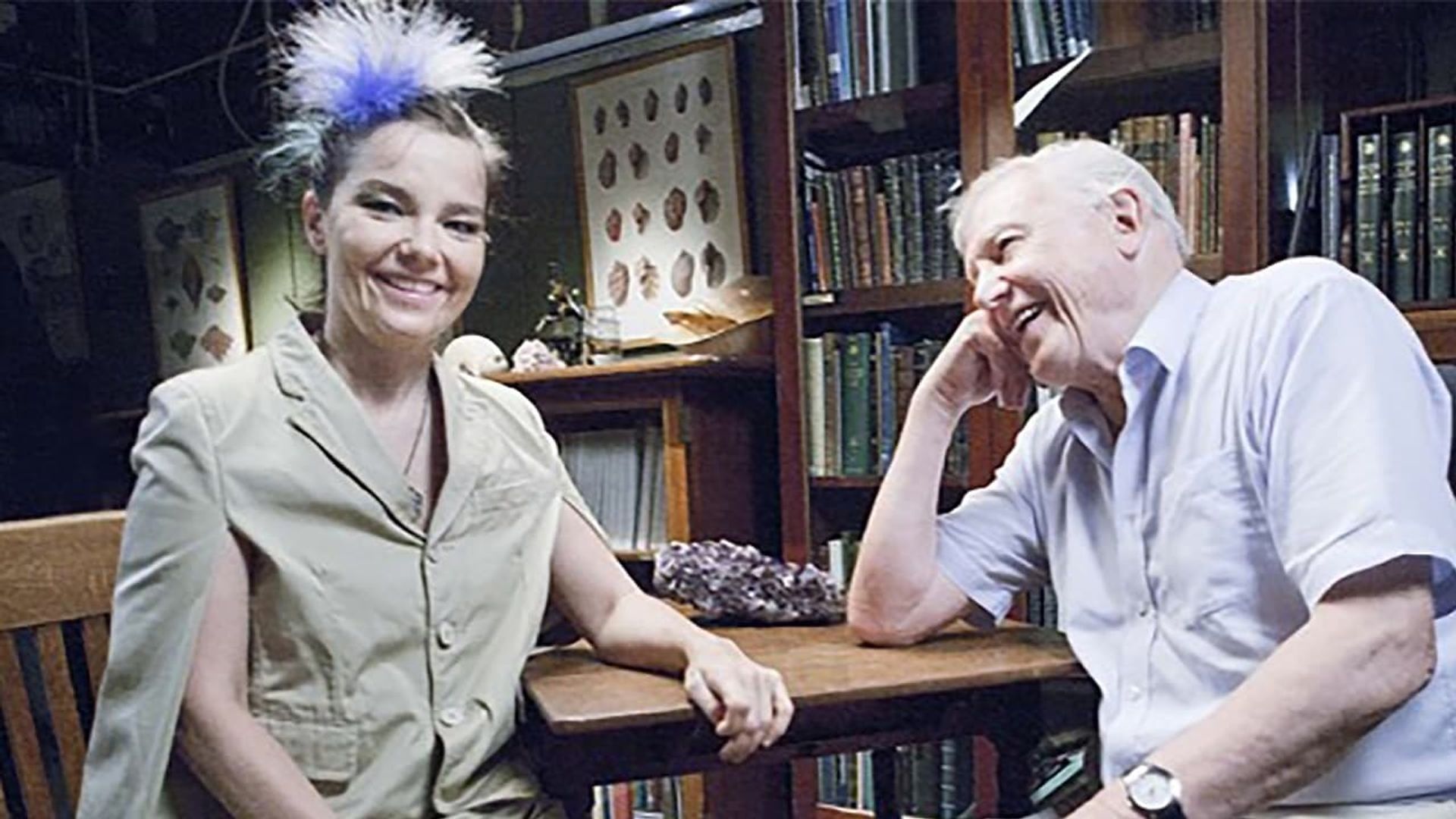 When Björk Met Attenborough background