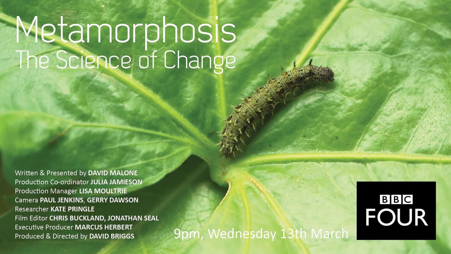 Metamorphosis: The Science of Change background