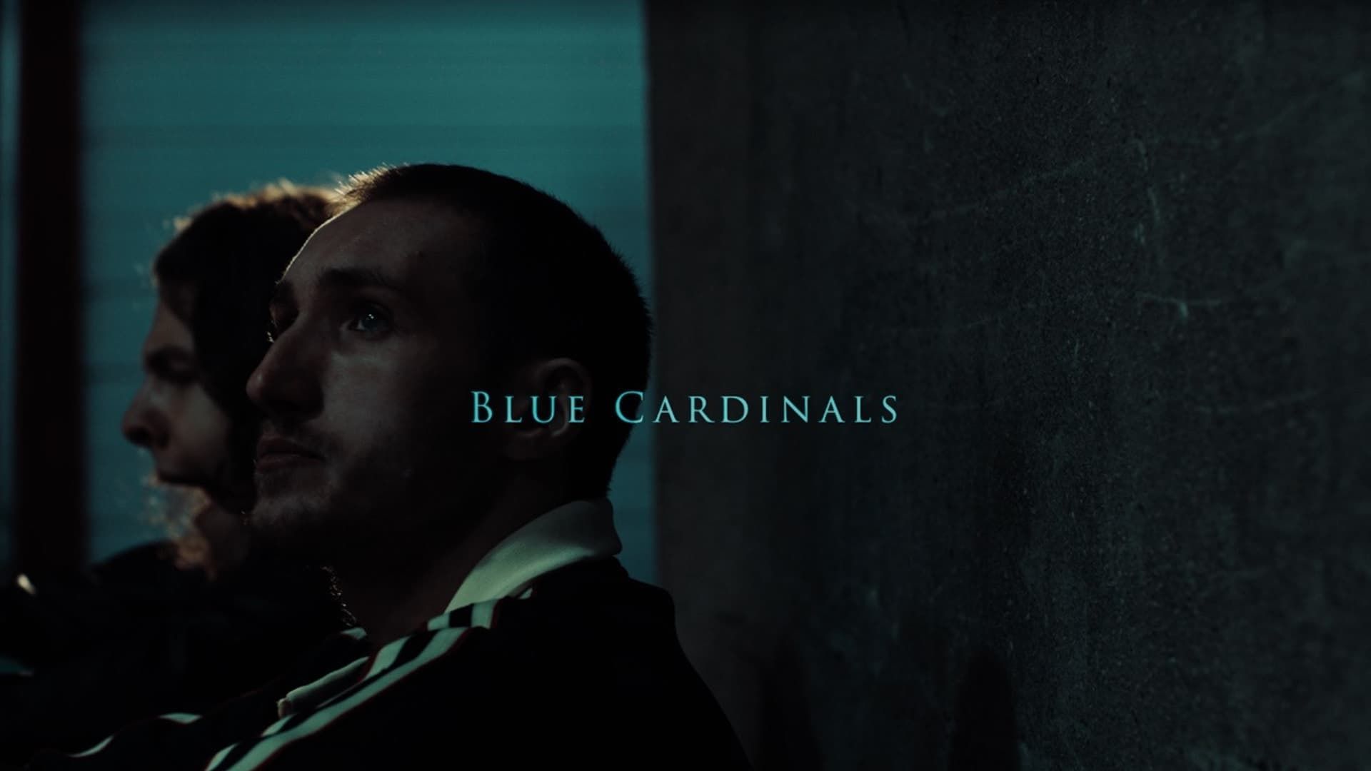 Blue Cardinals background