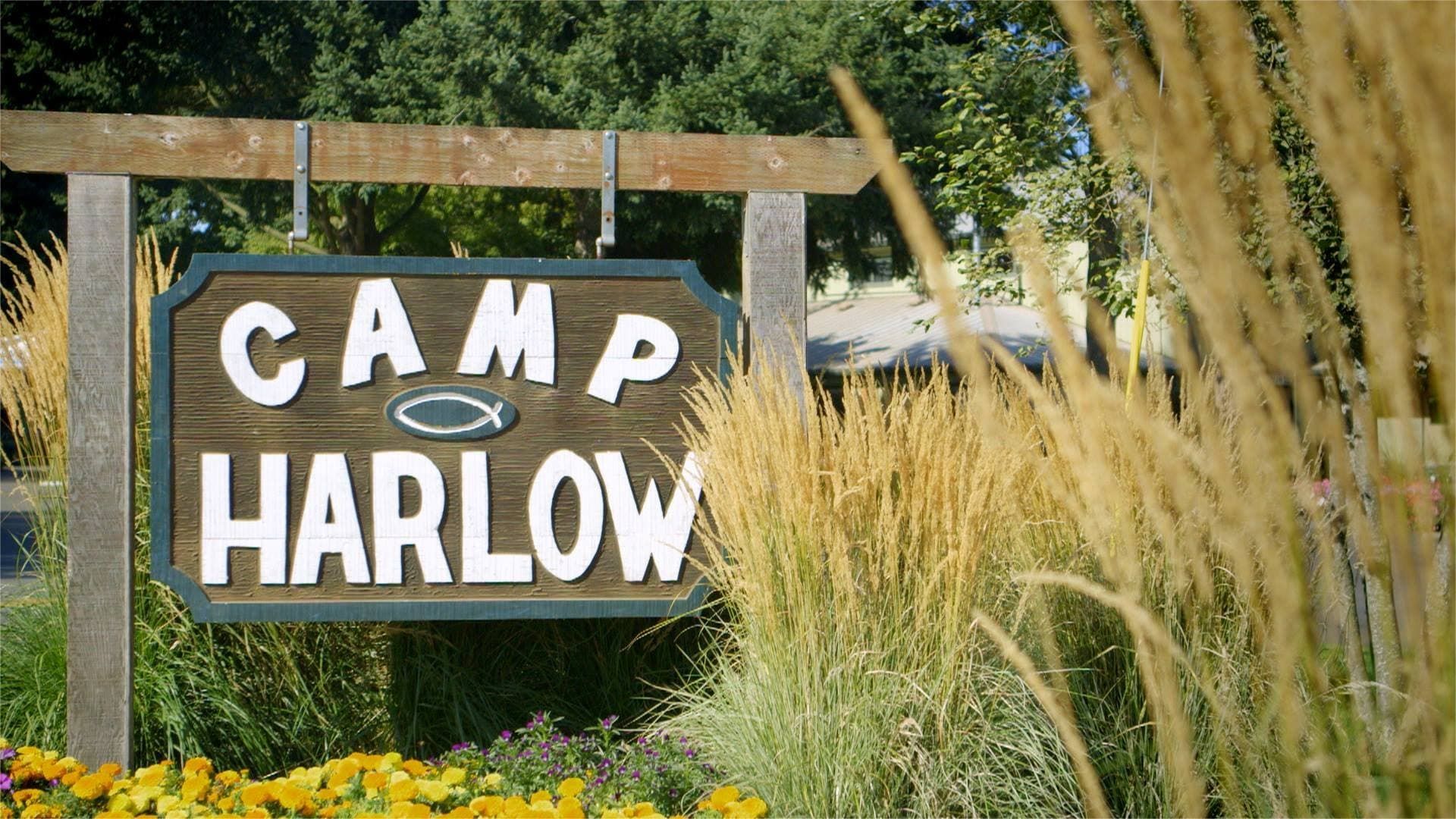 Camp Harlow background