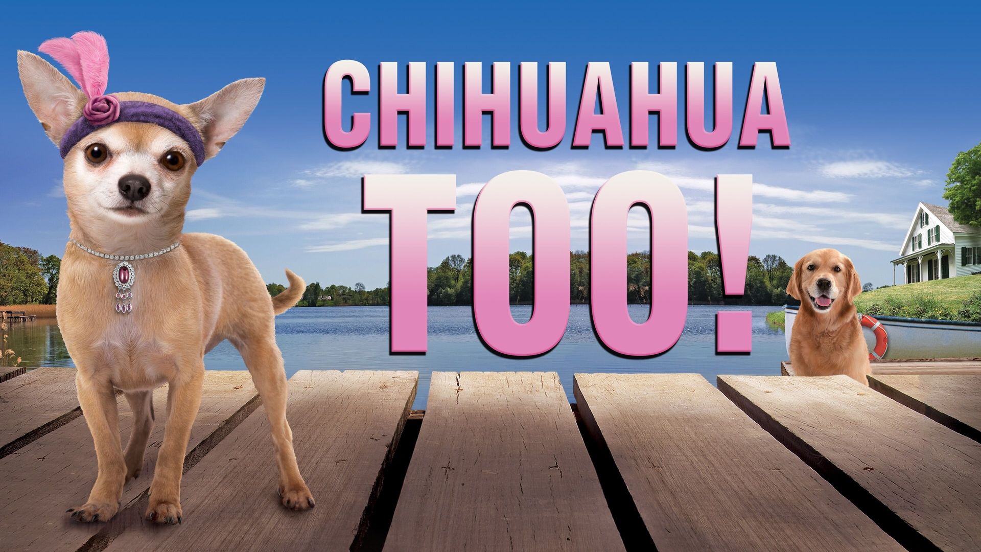 Chihuahua Too! background