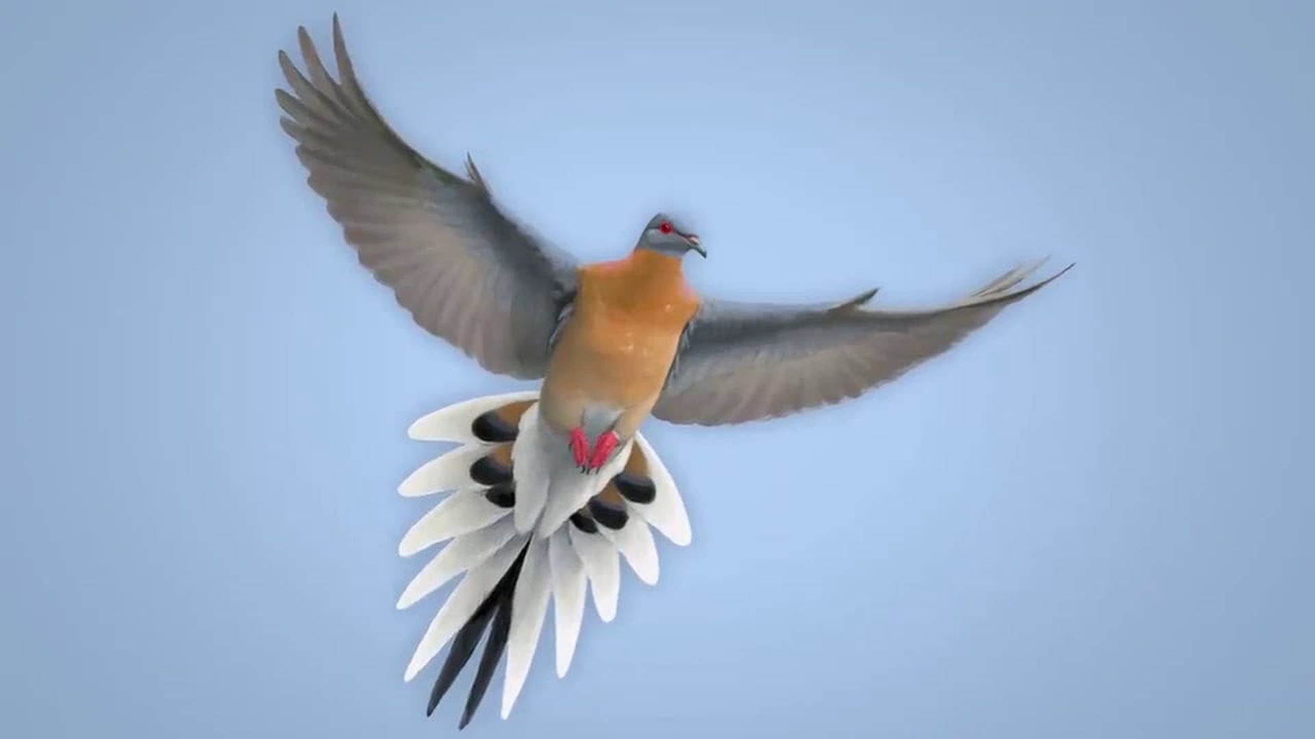From Billions to None: The Passenger Pigeon's Flight to Extinction background