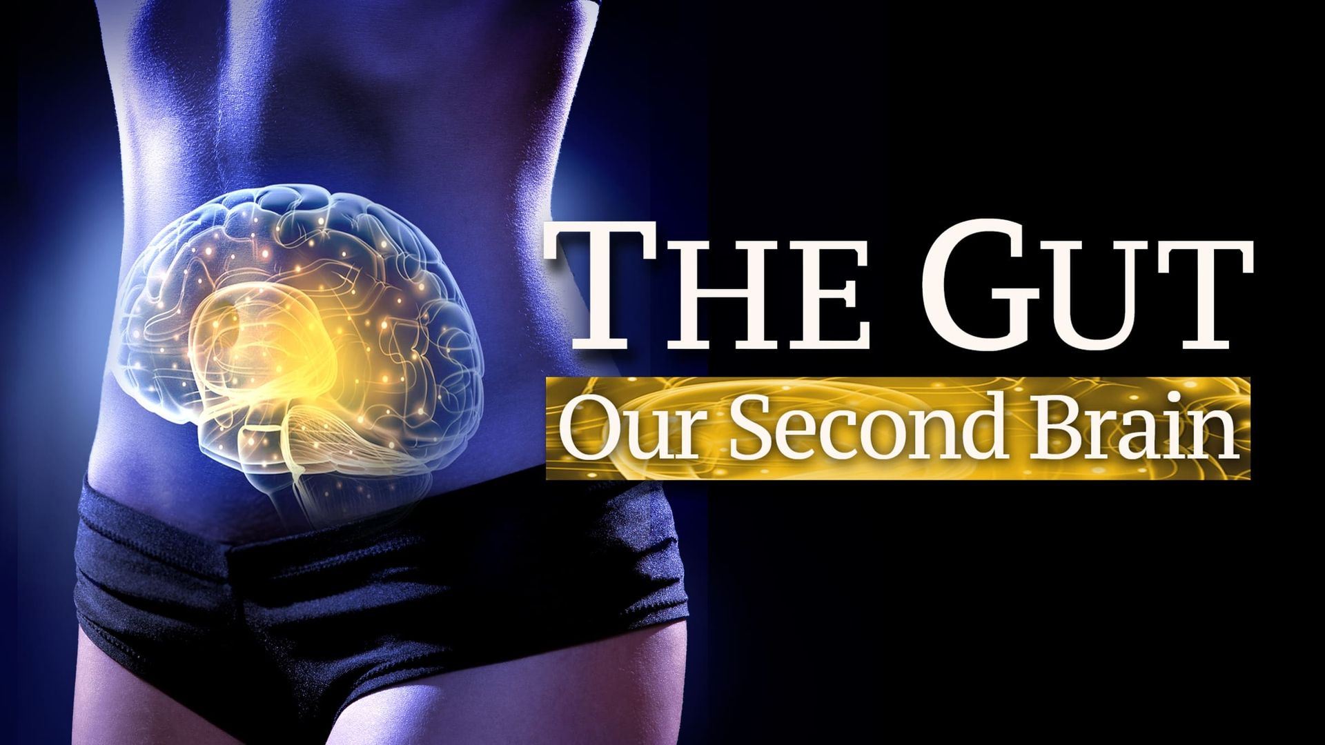 The Gut: Our Second Brain background