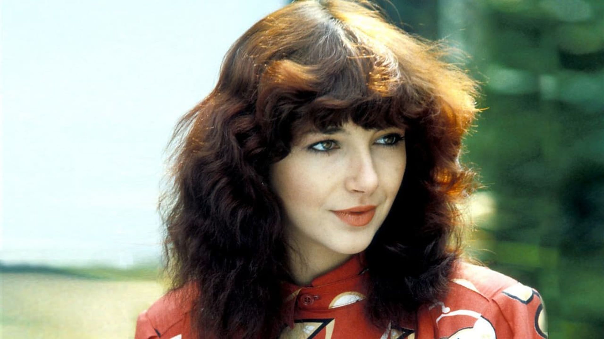 The Kate Bush Story: Running Up That Hill background
