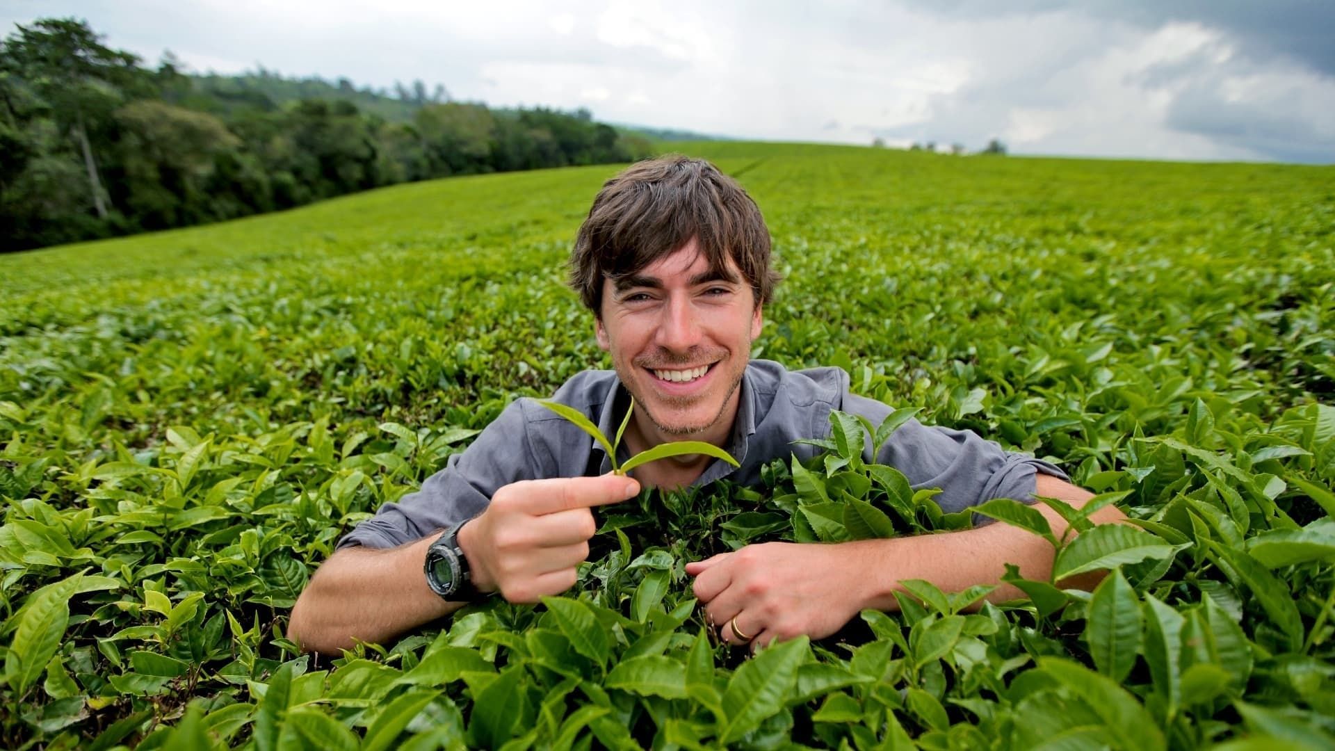 This World: The Tea Trail with Simon Reeve background