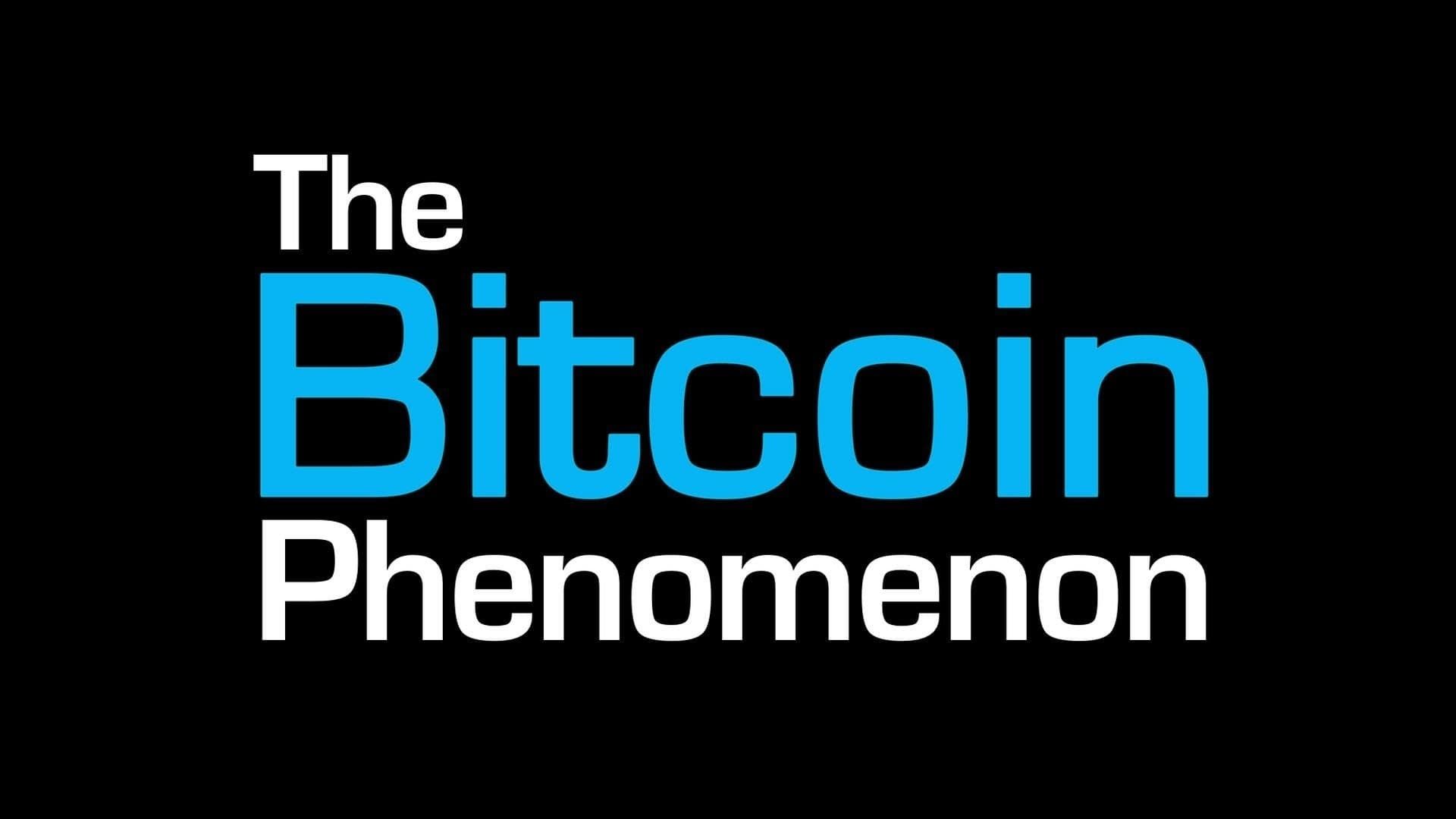 The Bitcoin Phenomenon background