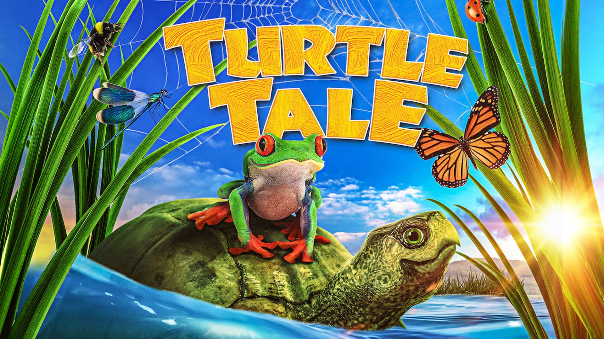Turtle Tale background