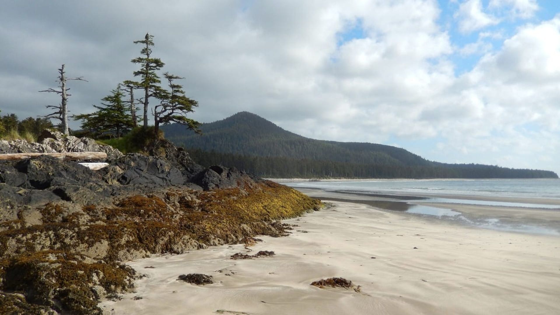 Haida Gwaii: On the Edge of the World background