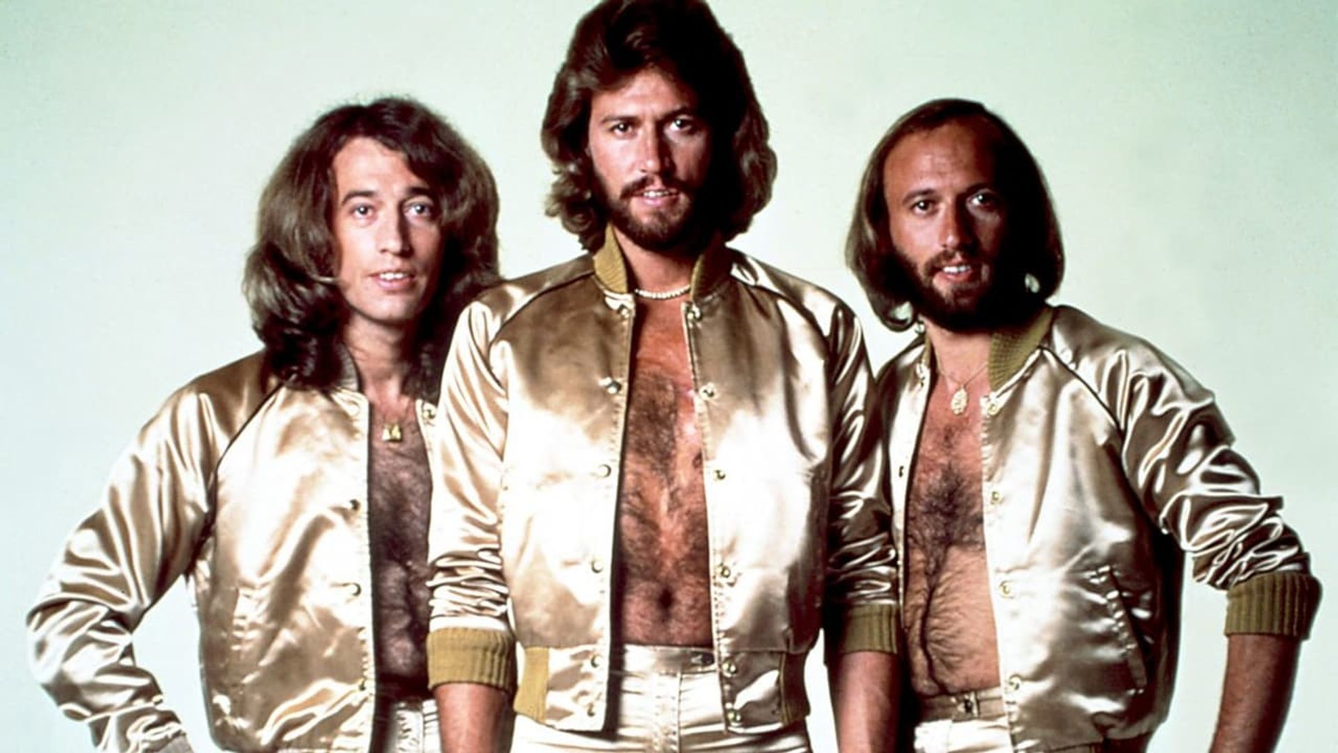 The Joy of the Bee Gees background