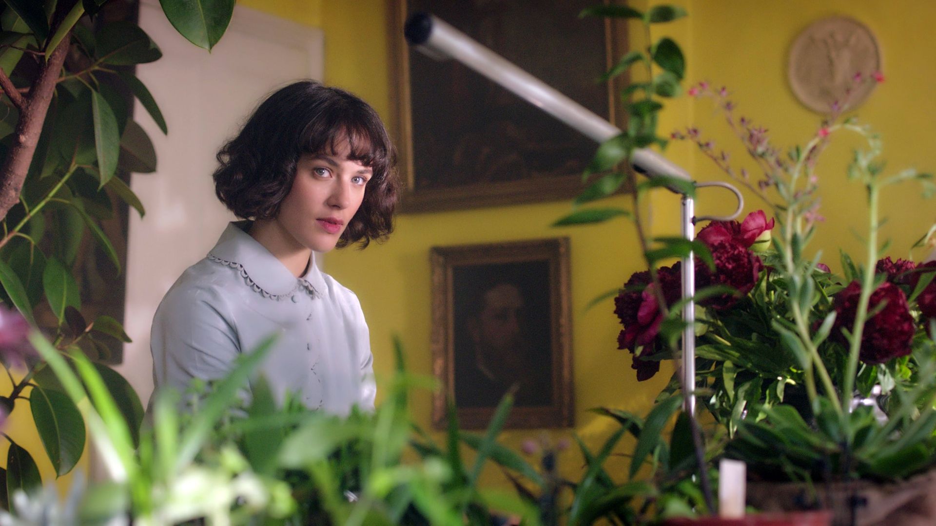 This Beautiful Fantastic background
