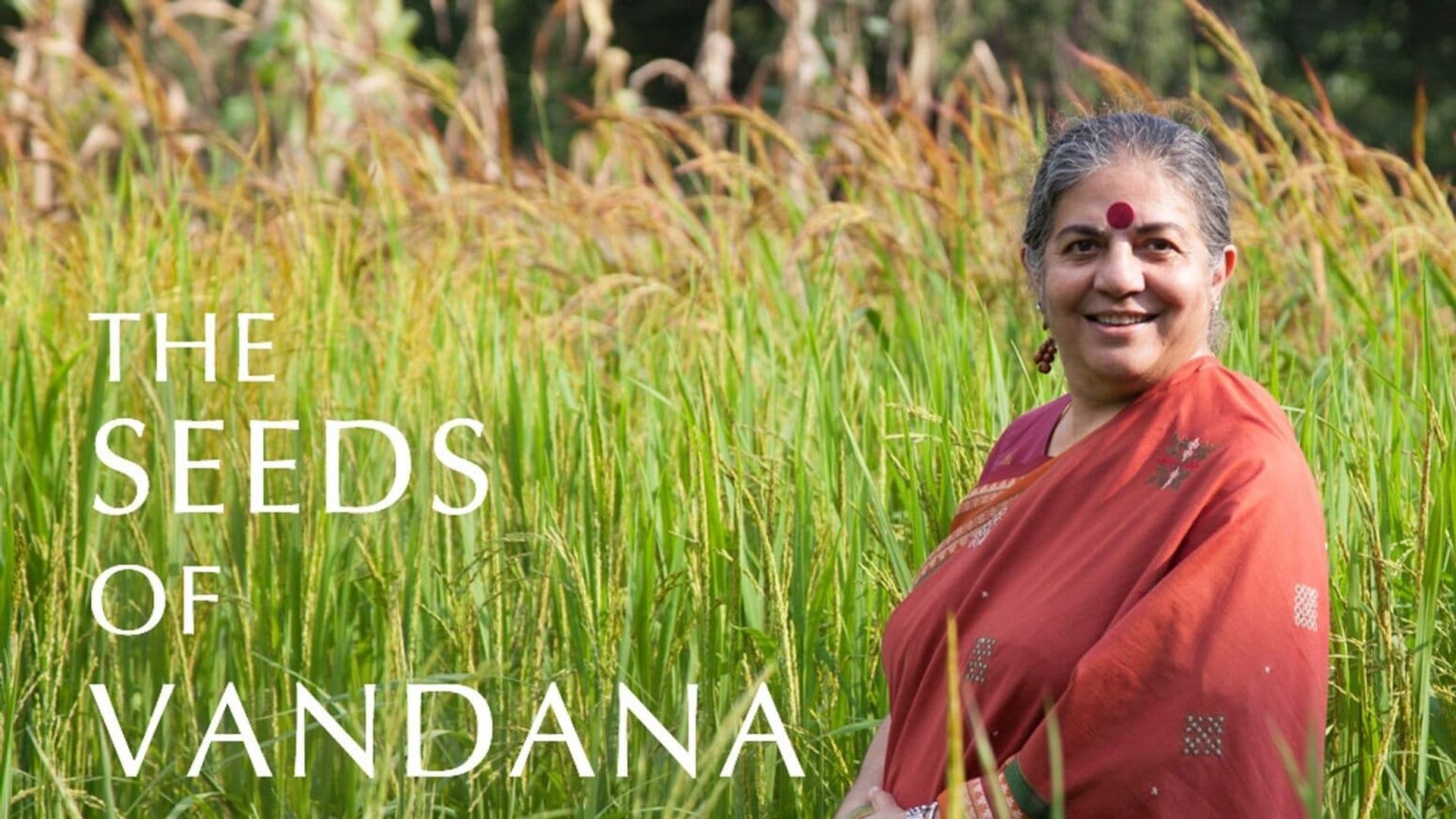 The Seeds of Vandana Shiva background