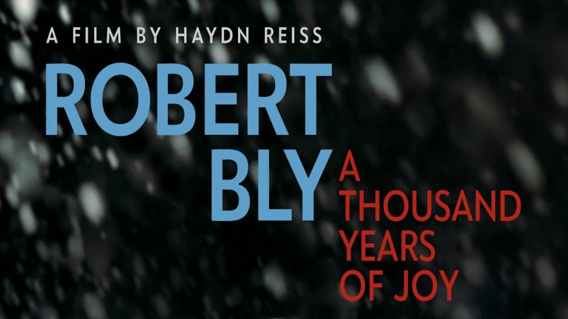 Robert Bly: A Thousand Years of Joy background