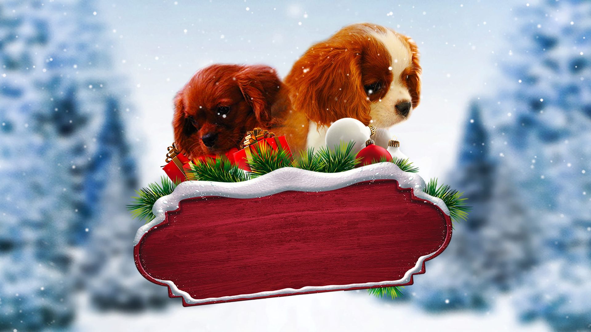 Project: Puppies for Christmas background