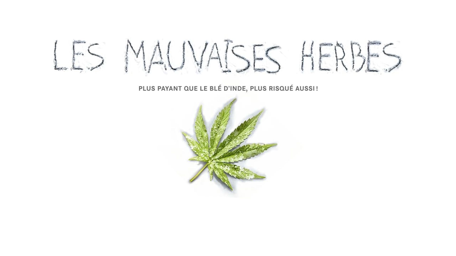 Les mauvaises herbes background