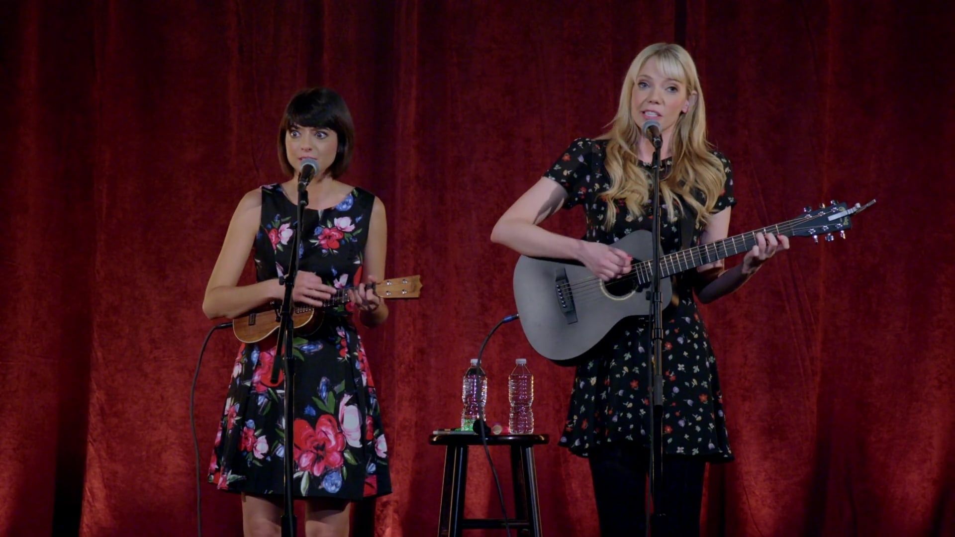 Garfunkel and Oates: Trying to Be Special background