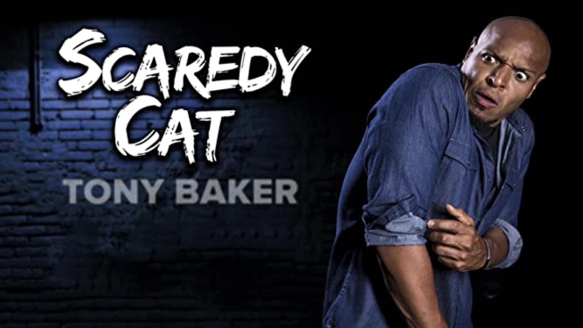 Tony Baker's Scaredy Cat background