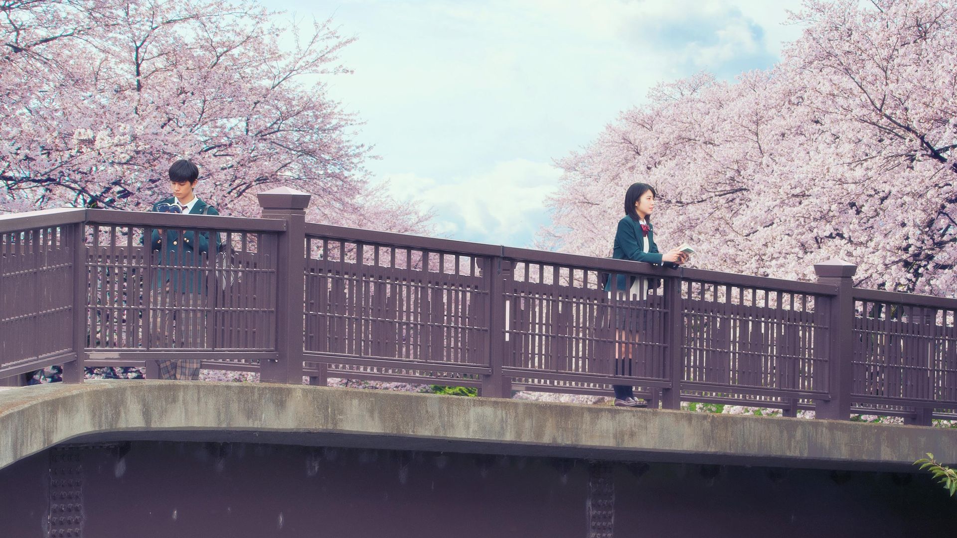 Let Me Eat Your Pancreas background